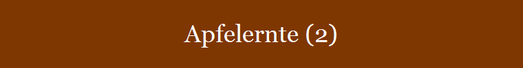 Apfelernte (2)