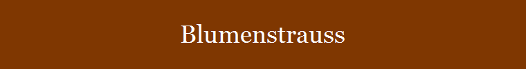 Blumenstrauss