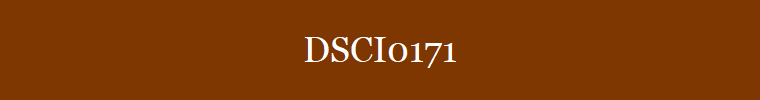 DSCI0171