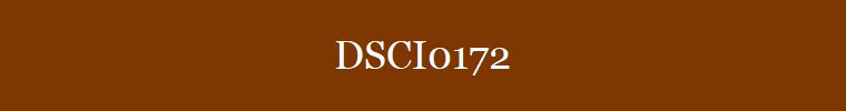 DSCI0172