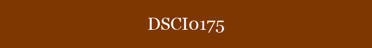 DSCI0175