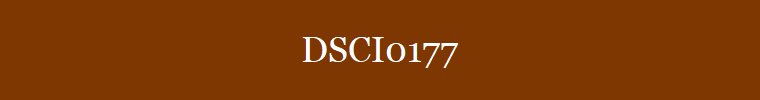 DSCI0177