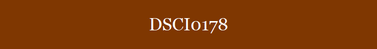 DSCI0178