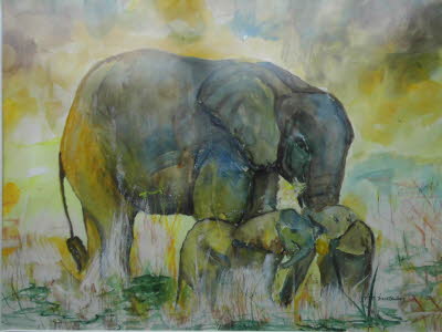 DSCI0171
