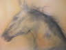 Pferd