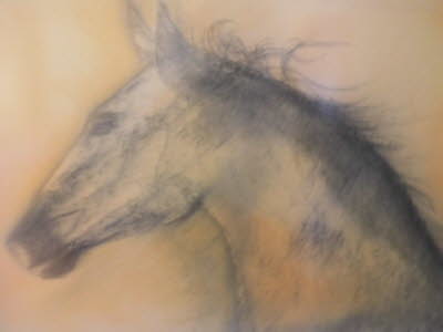 Pferd