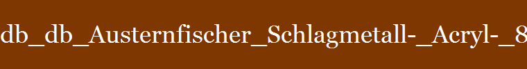 db_db_Austernfischer_Schlagmetall-_Acryl-_80x6011