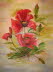 db_Mohn_Stilllebel_30x40_oel1