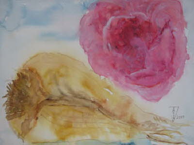 db_rose_und_rueben_30x4_1